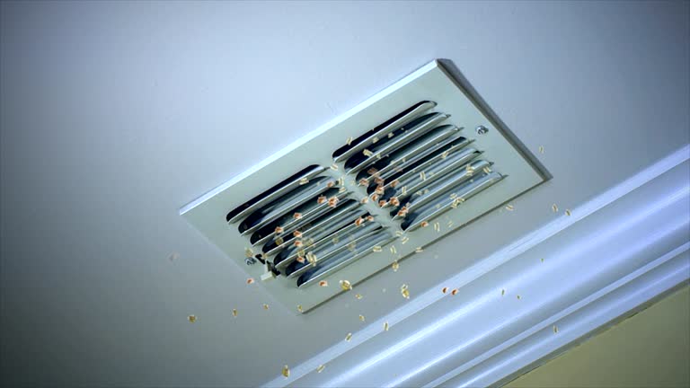 Best Air Duct Cleaning Near Me  in North Oaks, MN